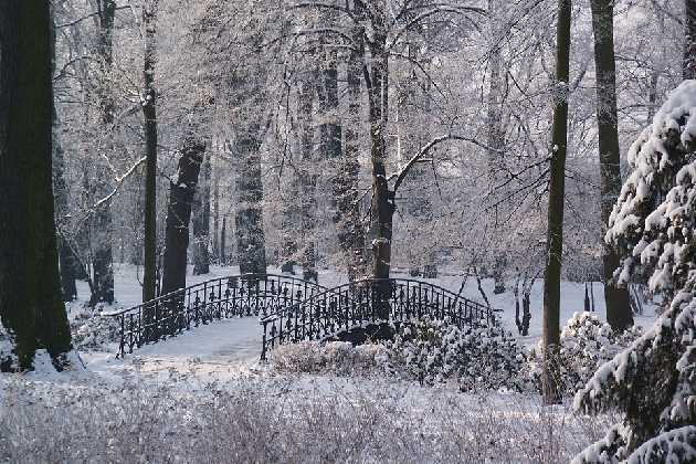 Wrocław-Szczytnicki Park