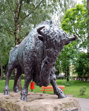 Hajnówka